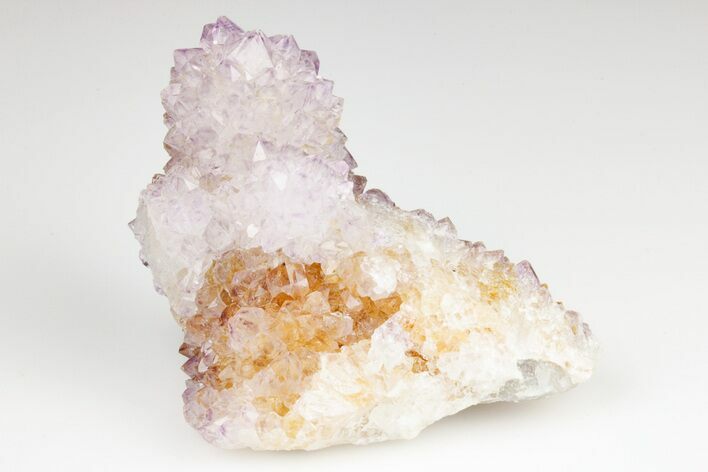 Cactus Quartz (Amethyst) Crystal Cluster- South Africa #187201
